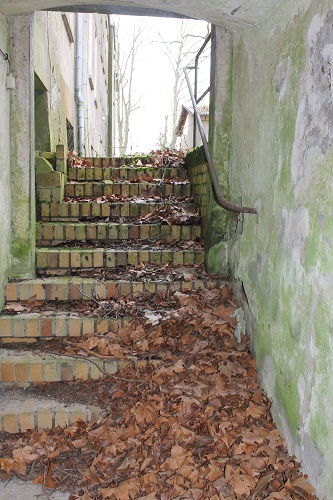 Zum Keller in Schloss Mahlsdorf